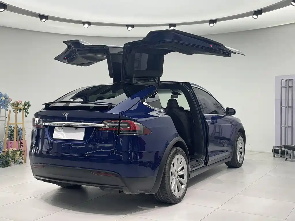 Tesla Model X 2017 100D Long Range