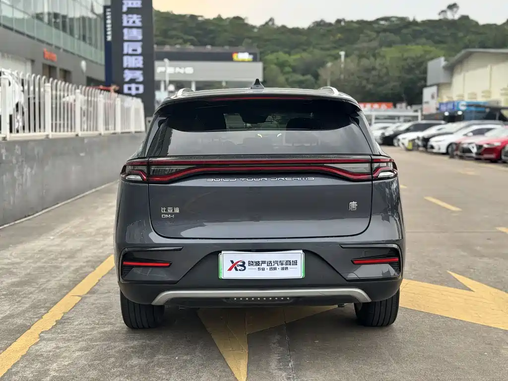 BYD Tang DM-i 112km Premium (2021)