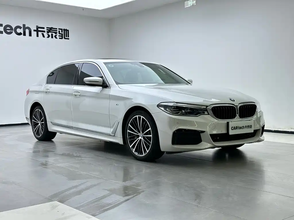 BMW 5 Series 2020 530Li Leading Model M Sport Package