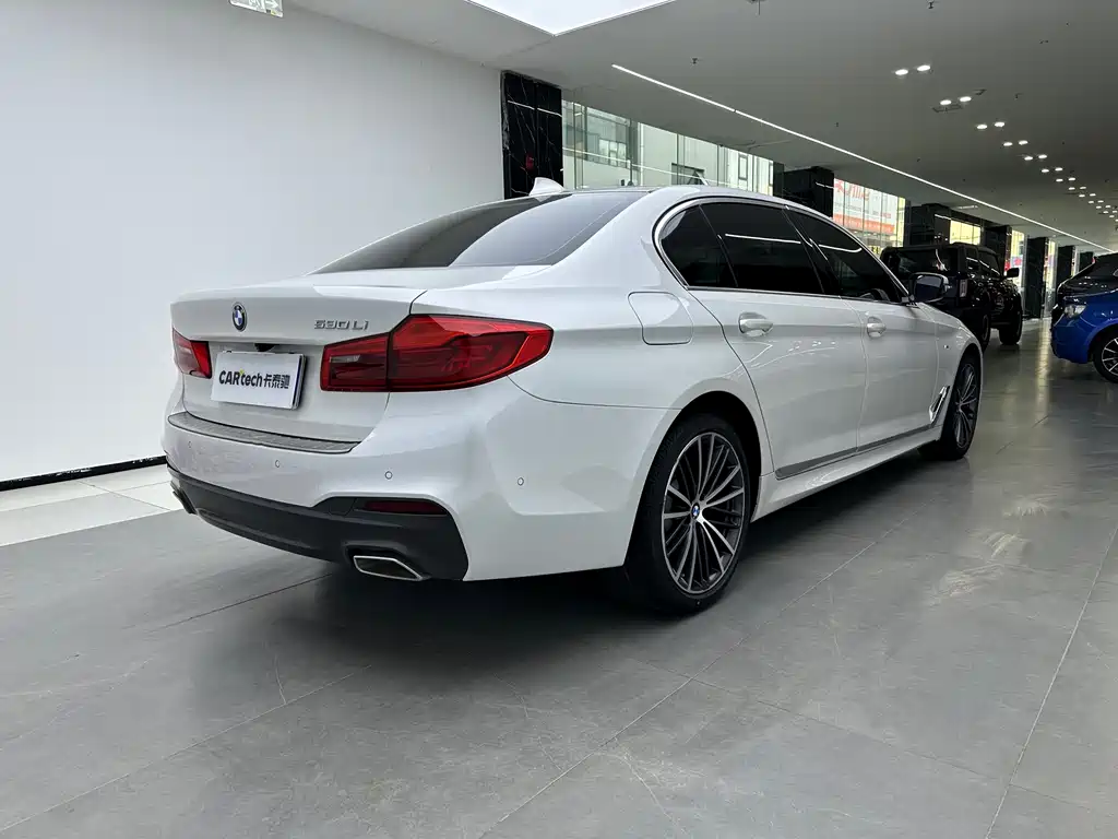 BMW 5 Series 2020 530Li Leading Model M Sport Package