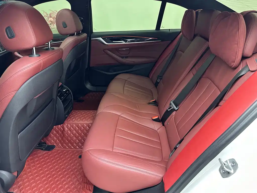 BMW 5 Series 2020 530Li Leading Model M Sport Package