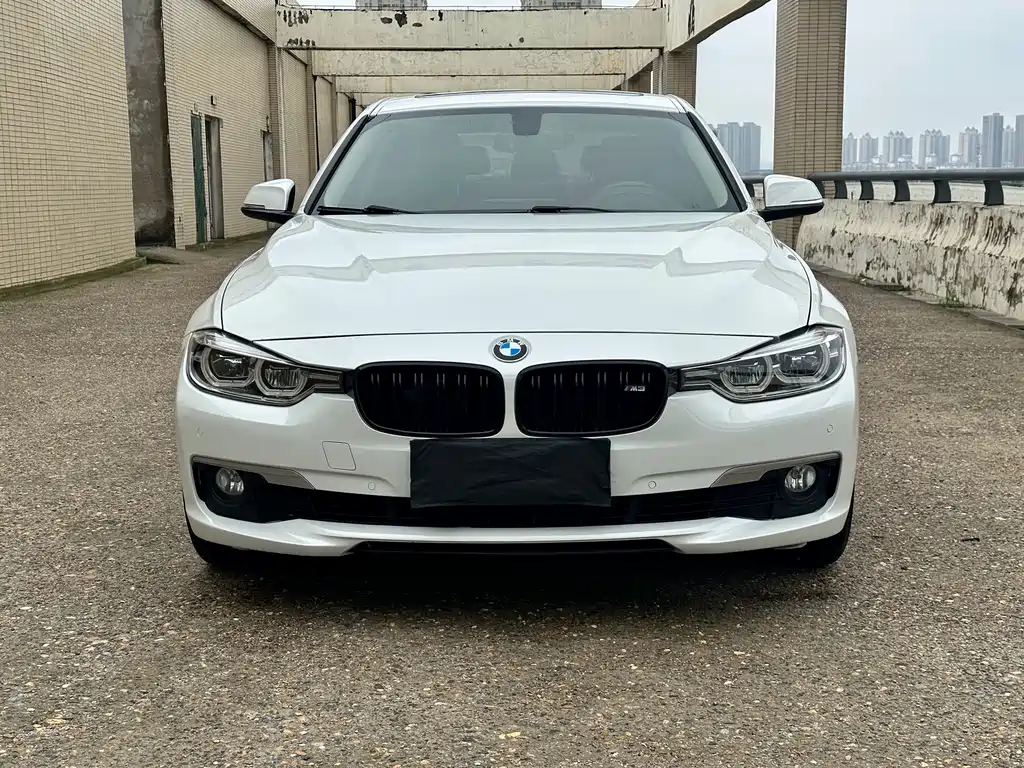 BMW 3 Series 320Li 2019