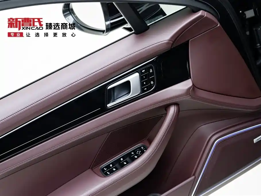 Panamera 2020 Panamera 10th Anniversary Edition 2.9T