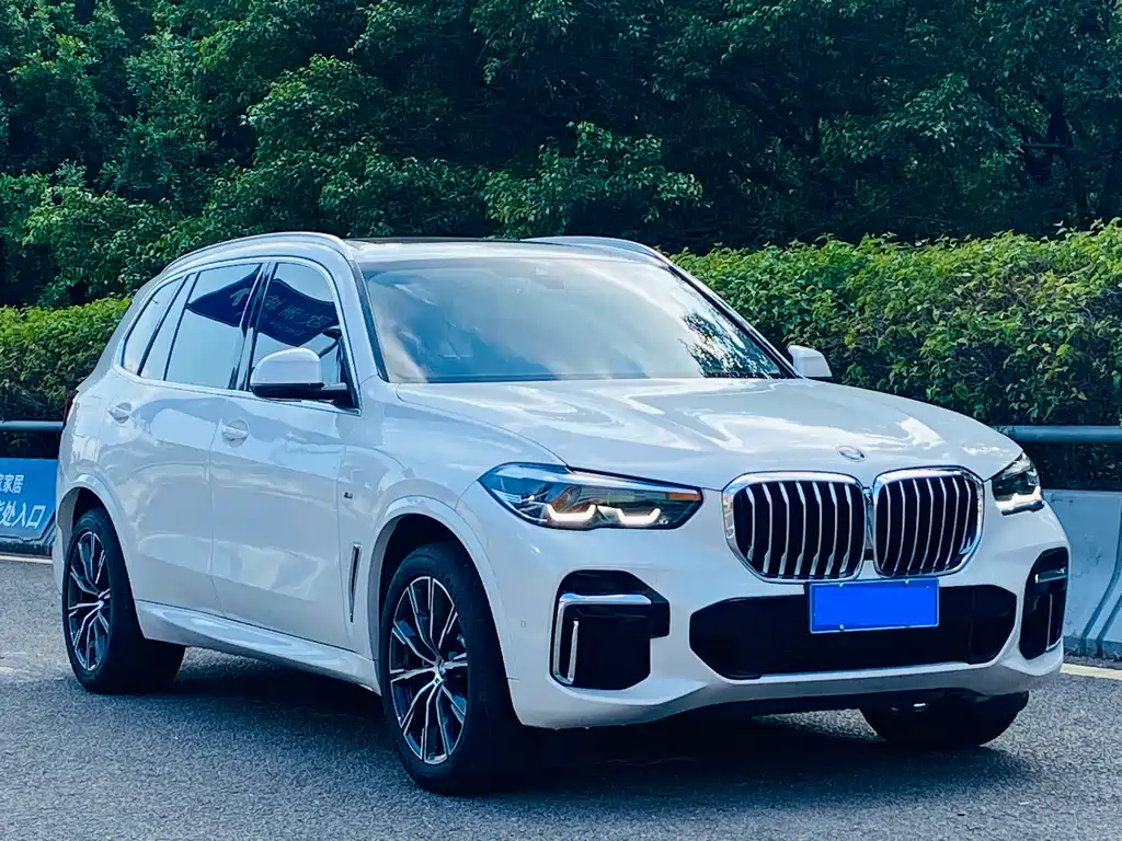 BMW X5 2022 xDrive 30Li Exclusive Edition M Sport Package