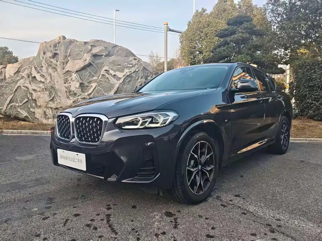 BMW X4 2022 xDrive 25i M Sport Package