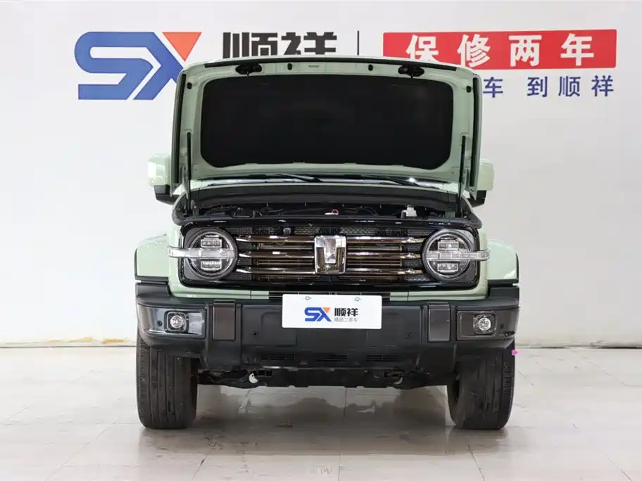 Tank 300 2021 City Edition 2.0T Stylish