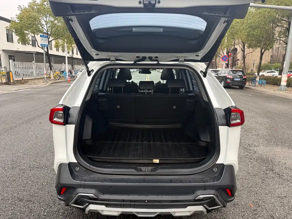 Toyota Wildlander 2022 2.0L CVT AWD Luxury Edition