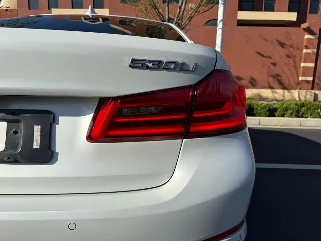 BMW 5 Series 2019 530Li Leading Edition Luxury Package