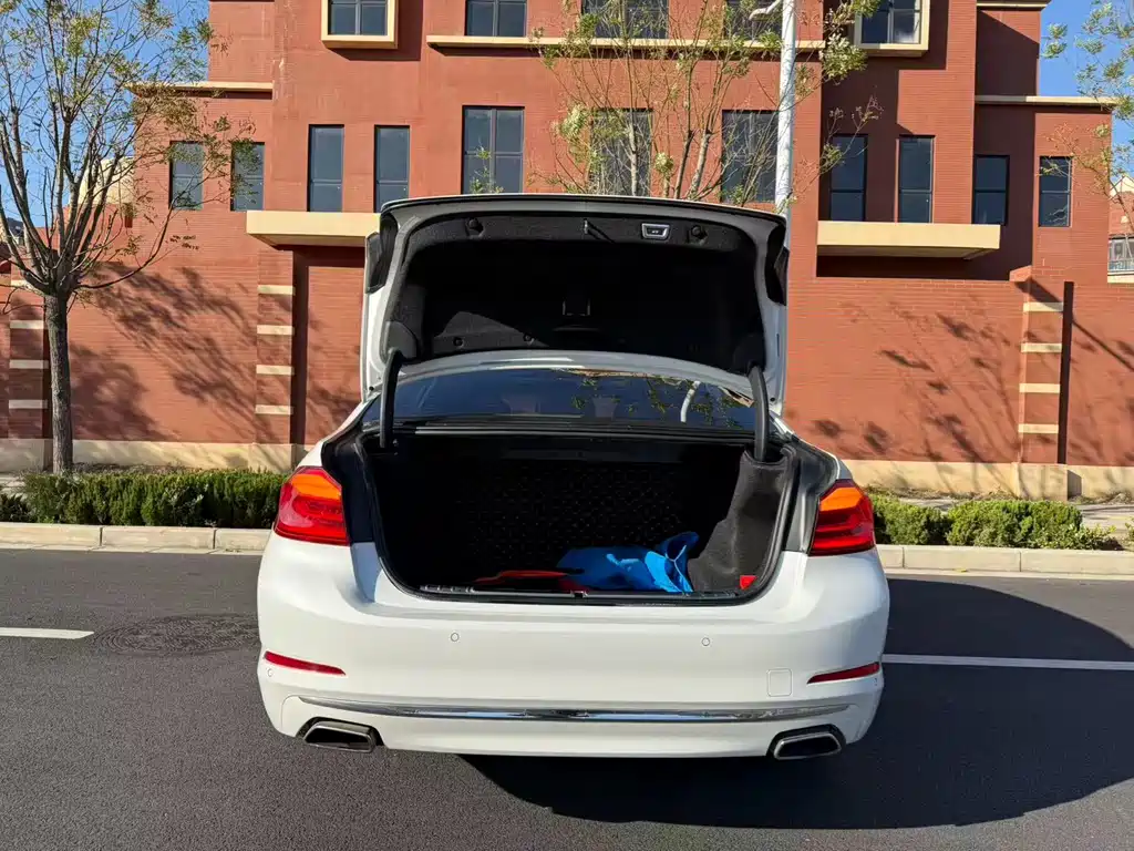 BMW 5 Series 2019 530Li Leading Edition Luxury Package