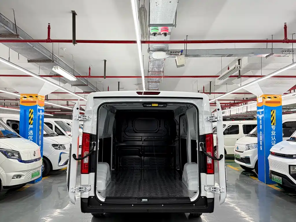 Dora Van 2026 305km 2C Supercharge Dream Edition CATL Battery