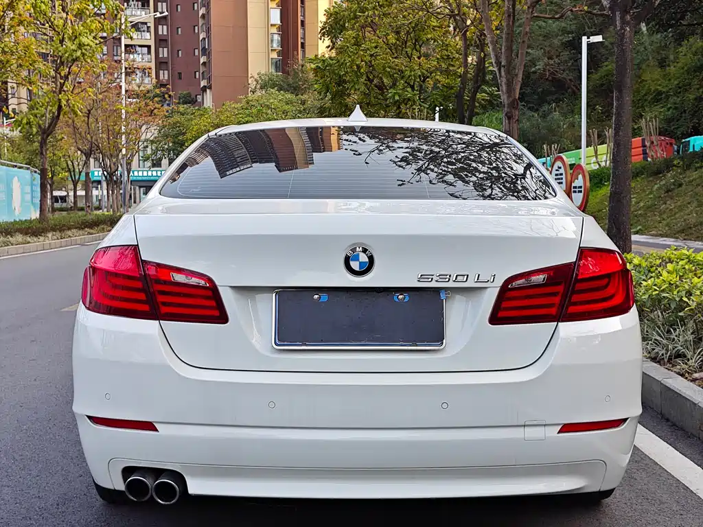 BMW 5 Series 2013 530Li Luxury Edition