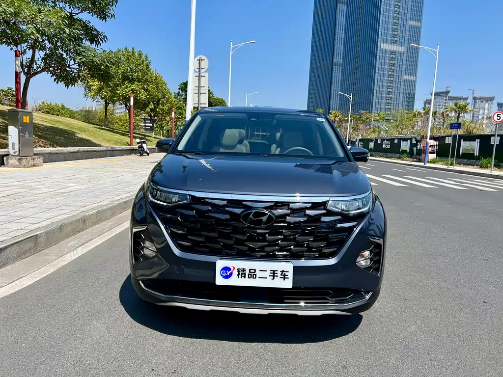 Hyundai Custo 2021 380TGDi TOP Premium