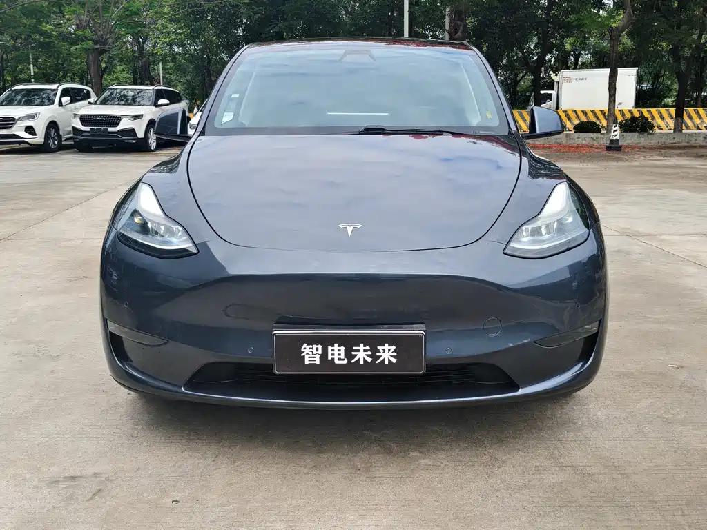 Tesla Model Y 2021 Long Range AWD