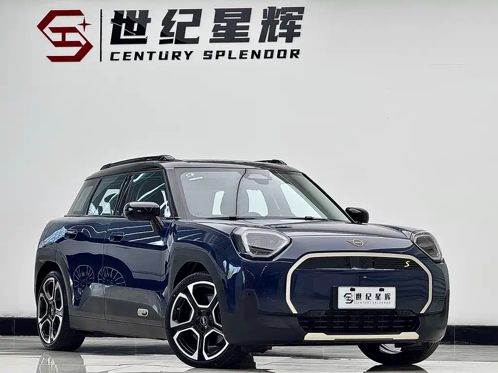 Electric MINI ACEMAN 2024 SE Artist