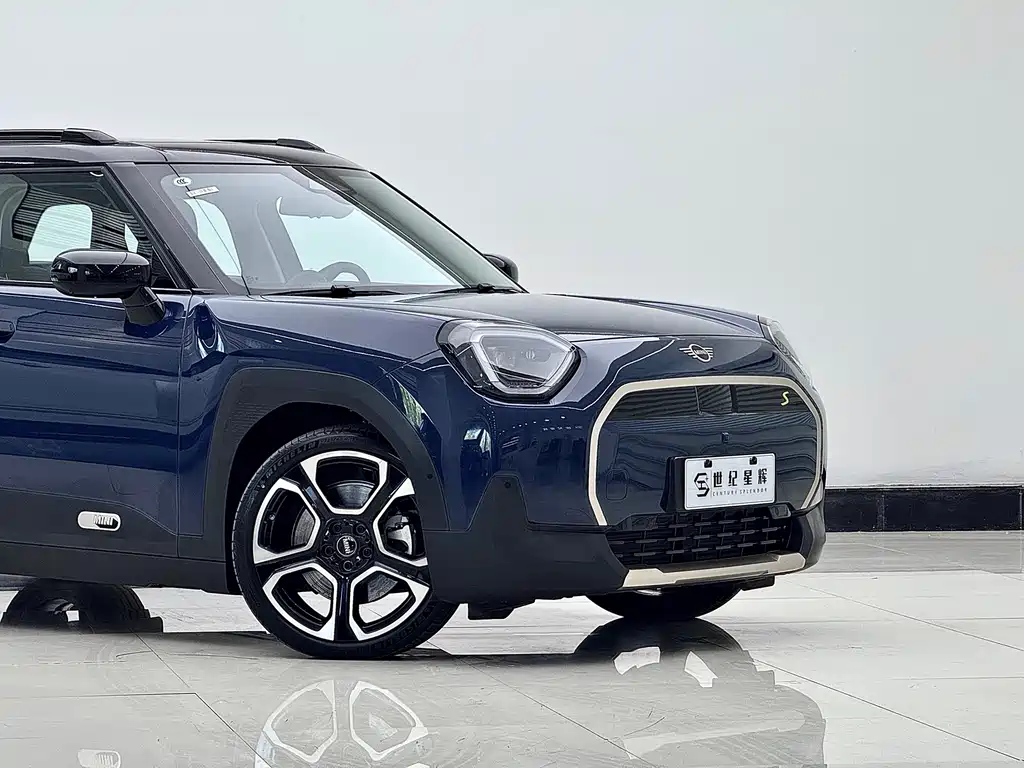 Electric MINI ACEMAN 2024 SE Artist