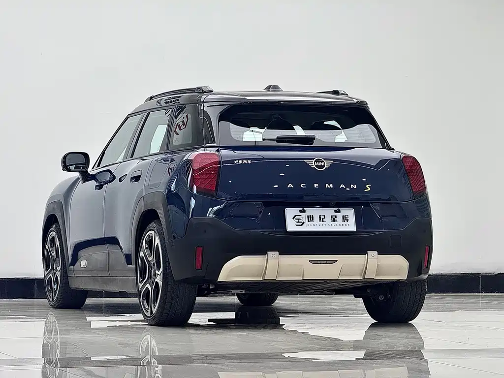 Electric MINI ACEMAN 2024 SE Artist