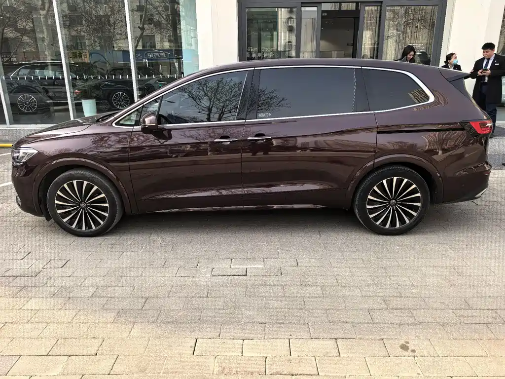 Viloran 2020 380TSI Premium