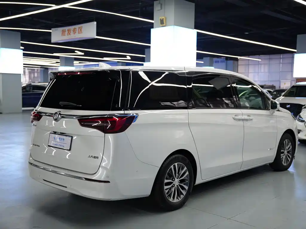 Buick GL8 2021 ES Luxury 653T Premium