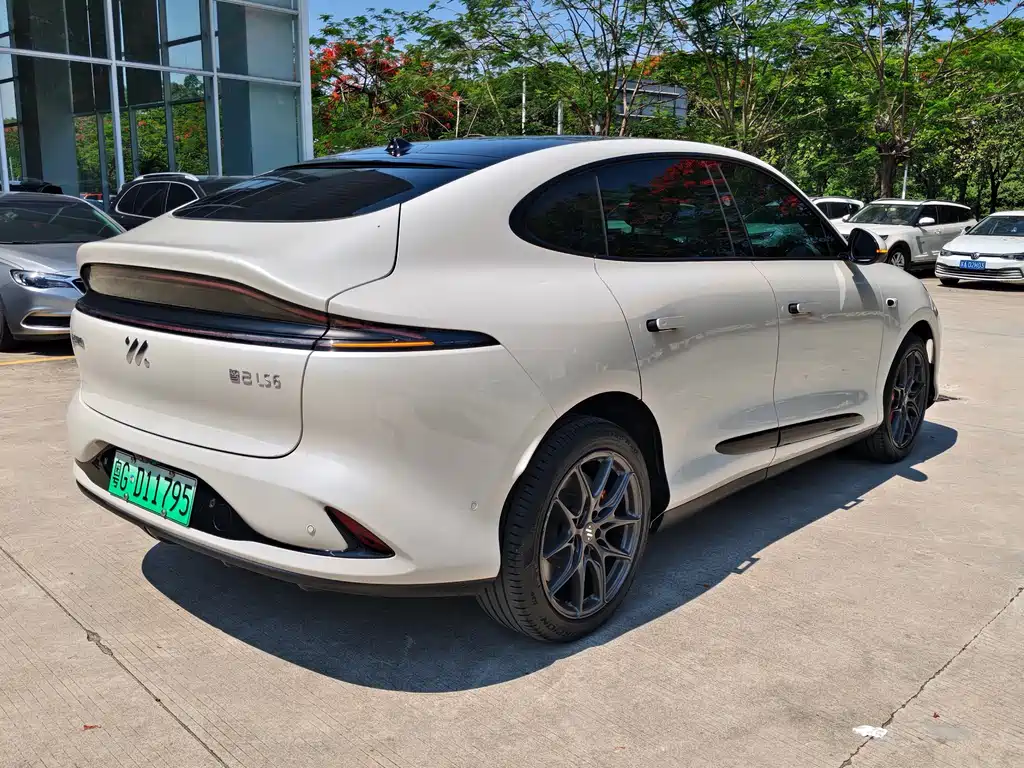 IM LS6 2023 Max Long Range Edition
