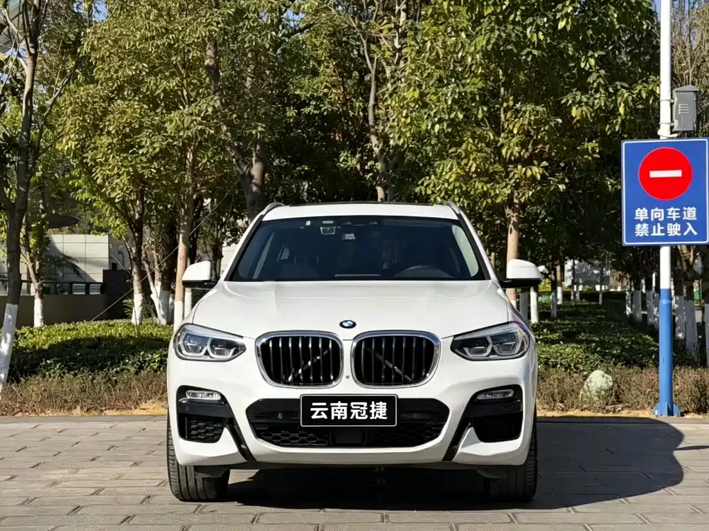BMW X3 2018 xDrive30i Leading Edition M Sport Package China V