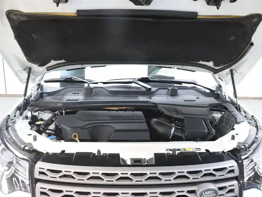 Land Rover Discovery Sport 2019 240PS PURE Euro VI