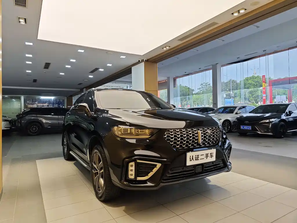 WEY VV5 2021 1.5T FWD Zhi Xianfeng