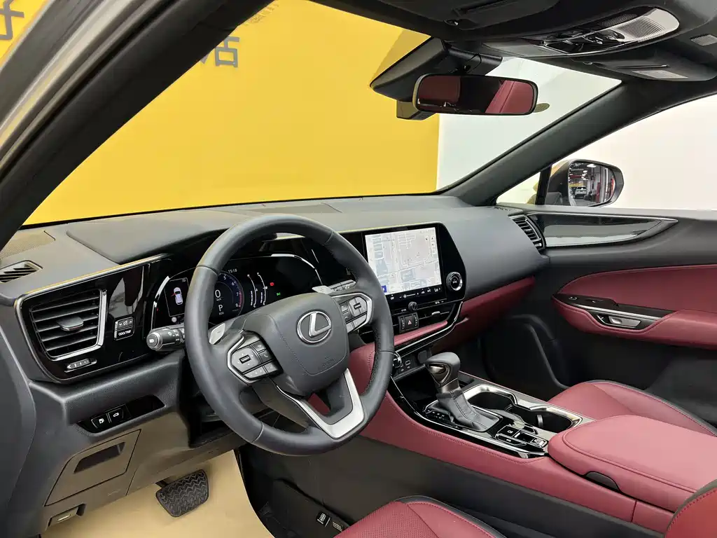 Lexus NX 2025 200 FUN