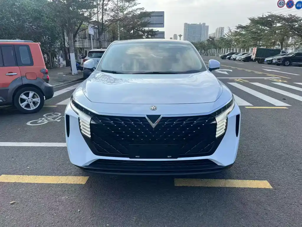 Venucia Big V 2022 260T Dark Horse Edition Aidou