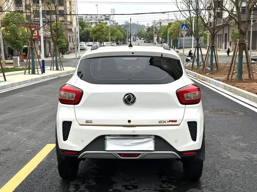 Nano EX1 2022 PRO Yuexiang Edition