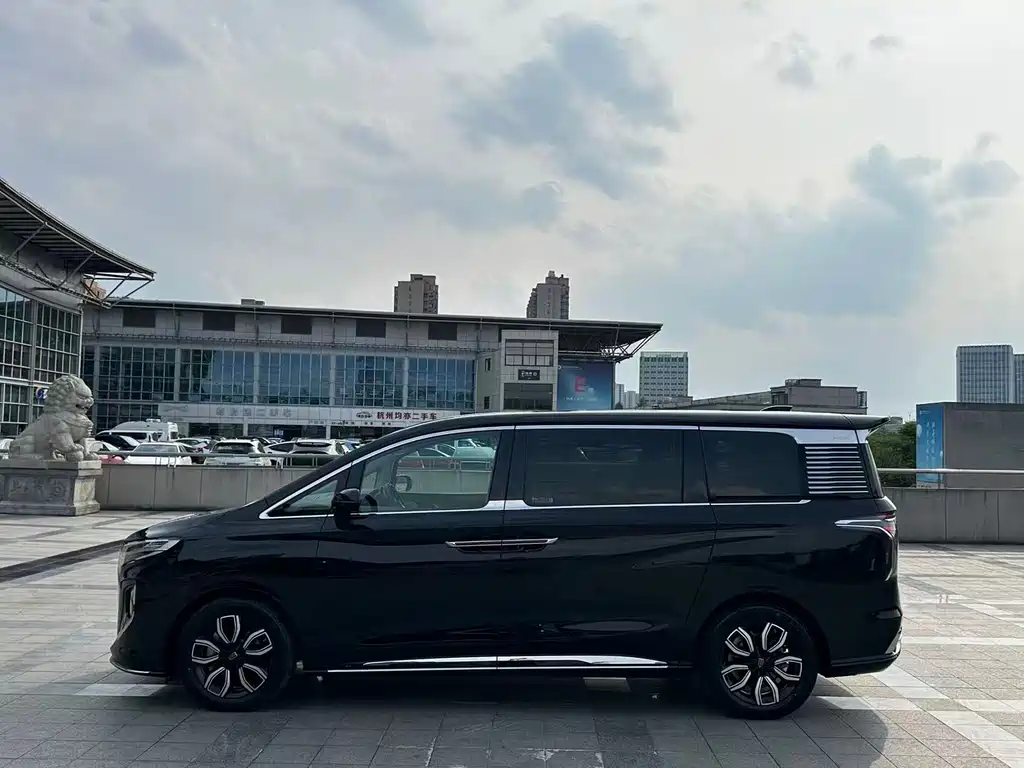 Hongqi HQ9 2023 2.0T Intelligent Connected Qiling Edition
