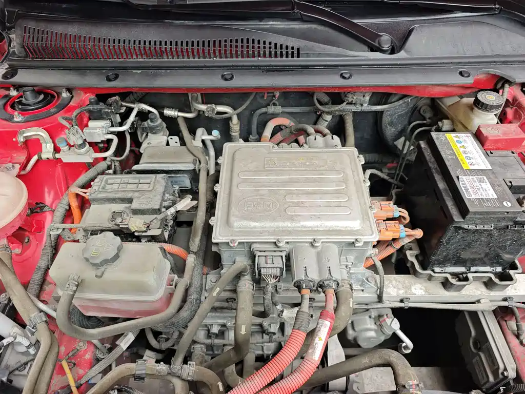 BYD e2 2020 Upgraded Long Range Luxury Edition