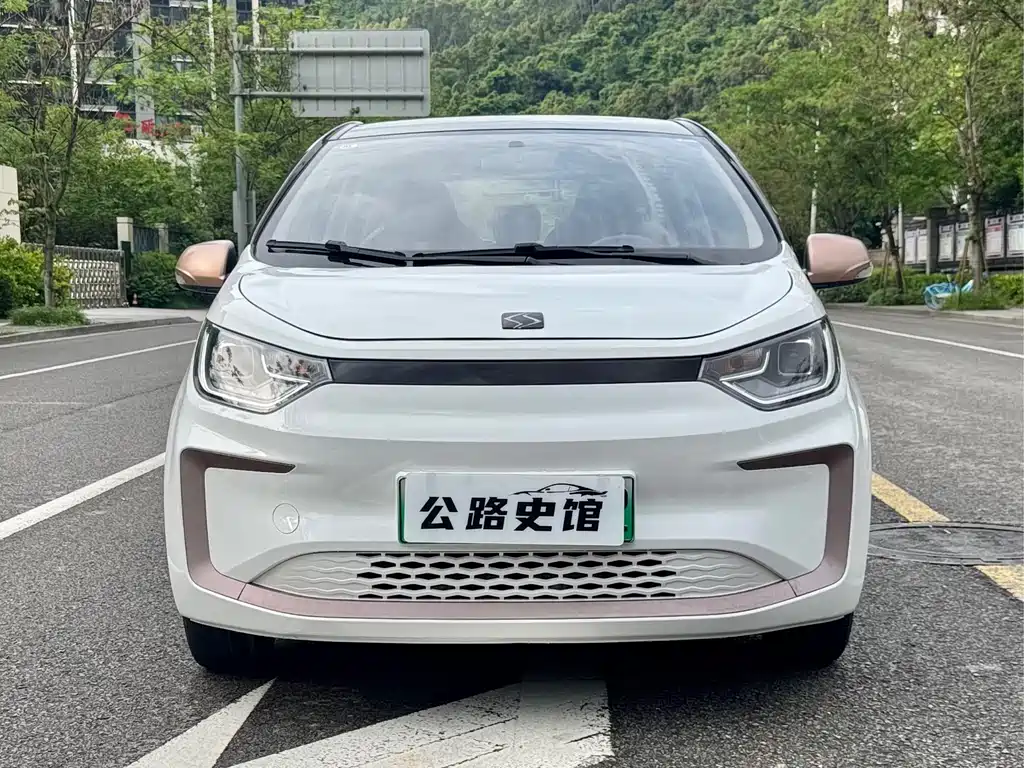 Chery QQ Ice Cream 2022 Clover Edition