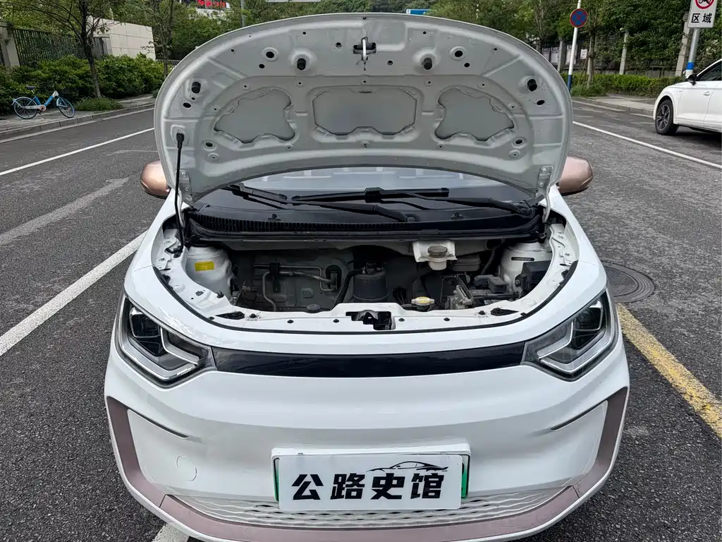 Chery QQ Ice Cream 2022 Clover Edition