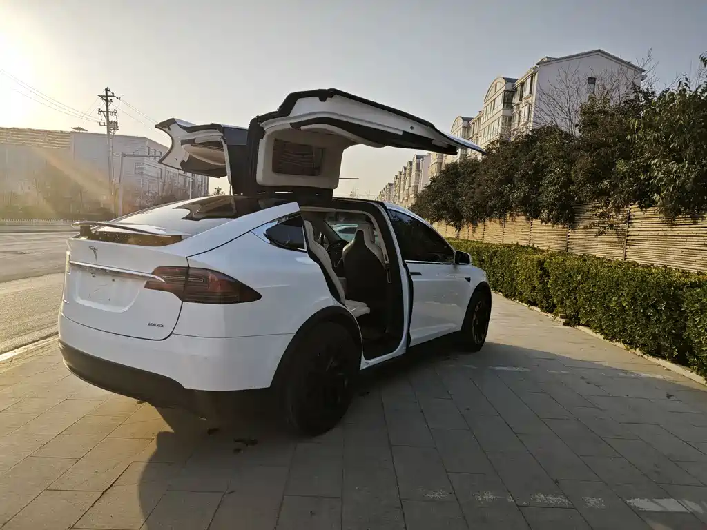 Tesla Model X 2017 Model X 100D Long Range