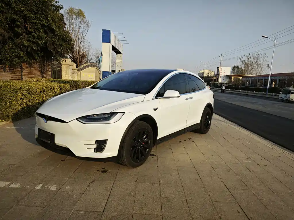 Tesla Model X 2017 Model X 100D Long Range