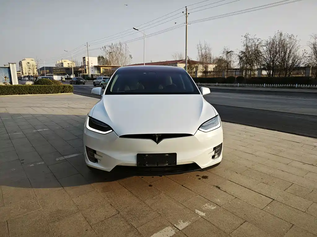 Tesla Model X 2017 Model X 100D Long Range