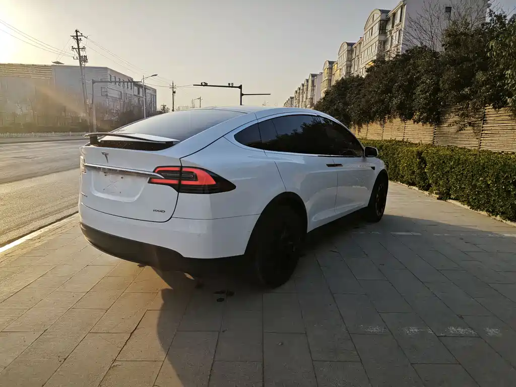Tesla Model X 2017 Model X 100D Long Range