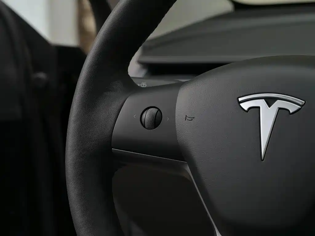 Model Y 2021 Long Range AWD