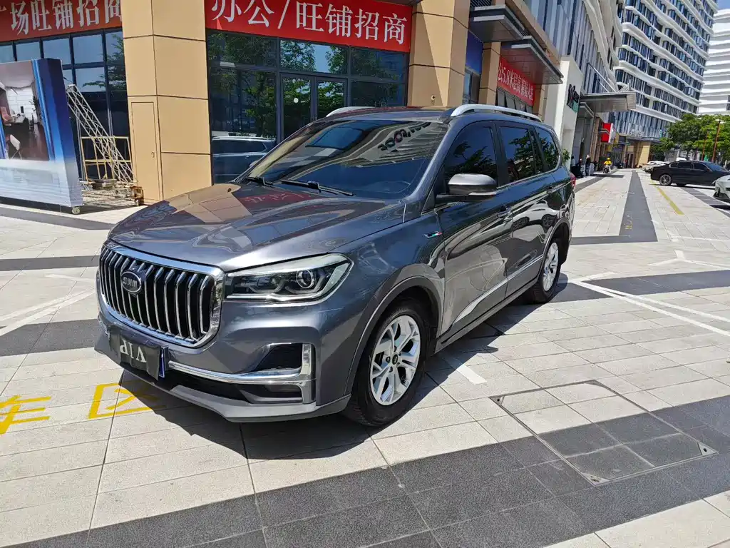 SWM G05 2019 1.5T Automatic Luxury Edition