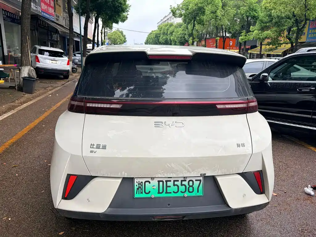 BYD Seagull 2023 Vitality Edition