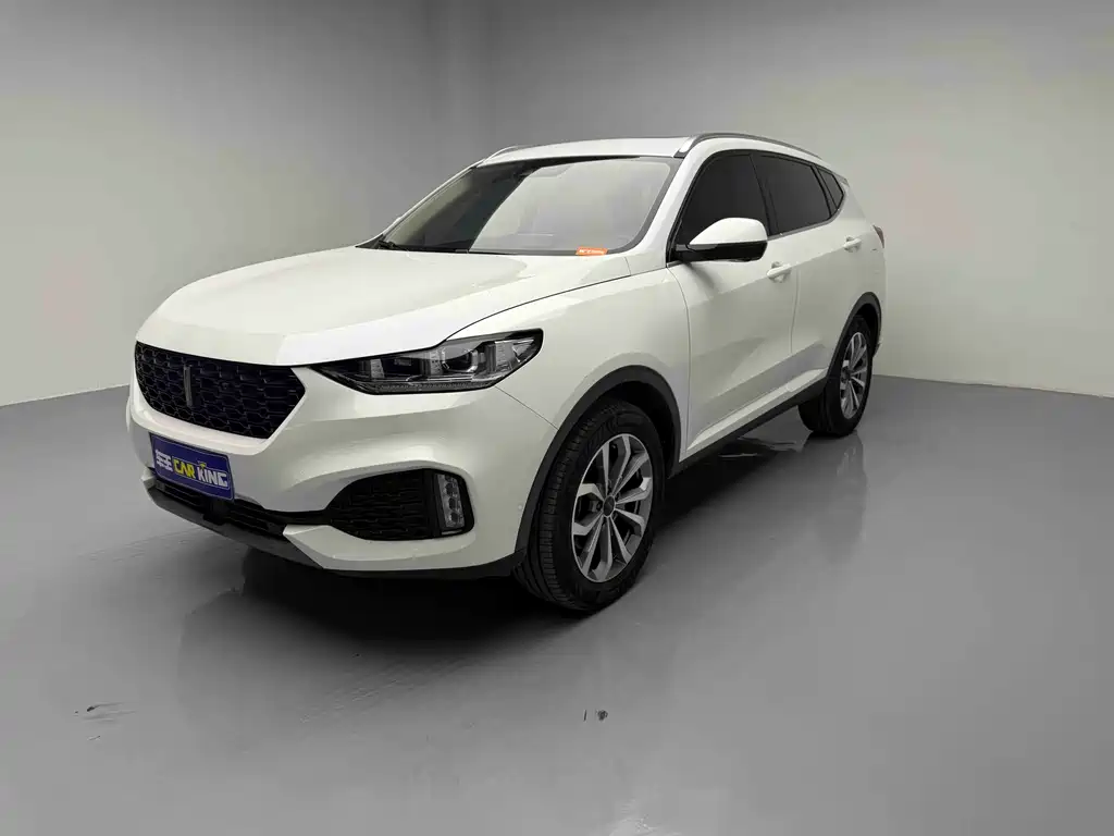 WEY VV6