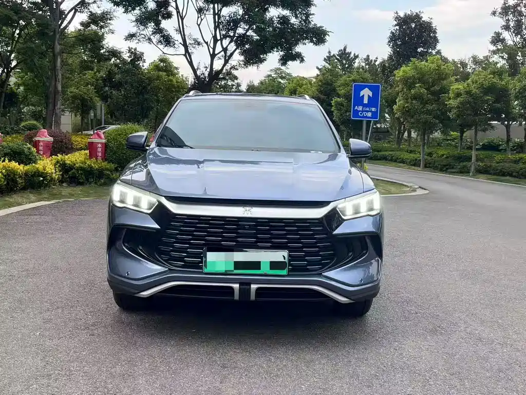 Song Pro New Energy 2024 Honor Edition DM-i 71KM Pilot