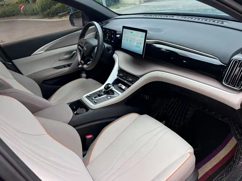 Song Pro New Energy 2024 Honor Edition DM-i 71KM Pilot