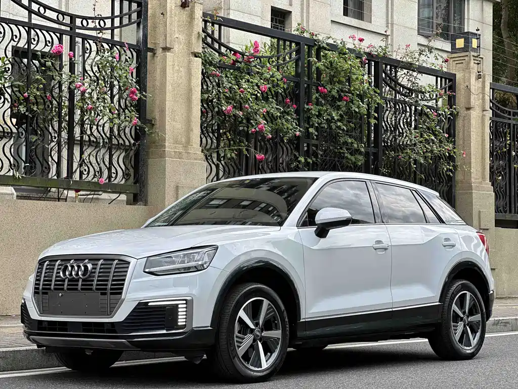 Audi Q2L e-tron 2019 Pure Electric Zhiku Trim