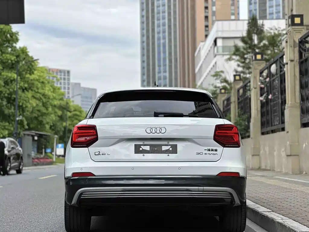 Audi Q2L e-tron 2019 Pure Electric Zhiku Trim