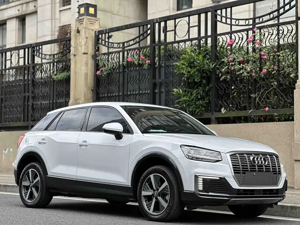 Audi Q2L e-tron 2019 Pure Electric Zhiku Trim