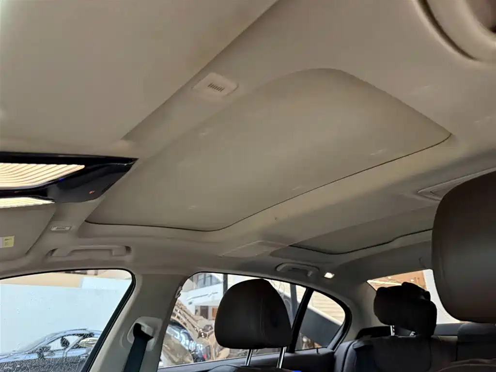 BMW 5 Series 2021 530Li Leading Edition Luxury Package