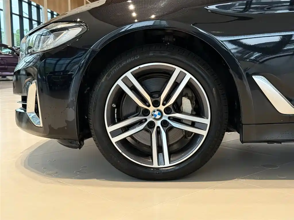 BMW 5 Series 2021 530Li Leading Edition Luxury Package