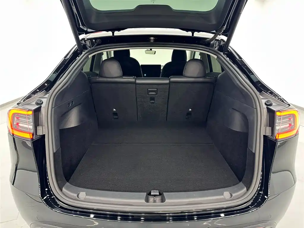 Model Y 2021 Standard Range Rear-Wheel Drive