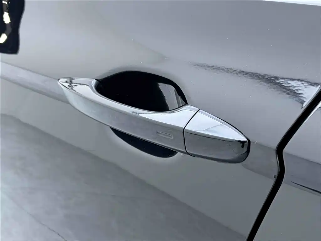 Volkswagen Magotan 2020 330TSI DSG Leading Edition